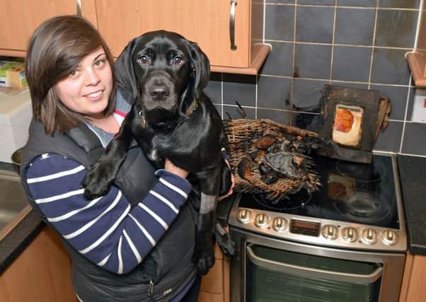 Owner Fiona Milne with puppy Harris. Picture: Mike Day / Saltire News