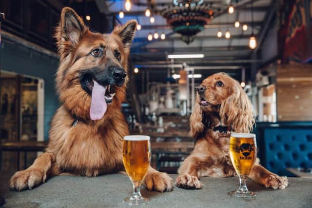 BrewDog today announces it will be offering all staff an additional week of leave when they have a new puppy or rescue a hound
. Picture: BrewDog