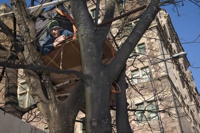 Simon Byrom has been living in the tree for a week. Picture: contributed