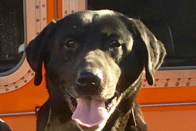 Sam, the faithful police dog. Picture: Police Scotland