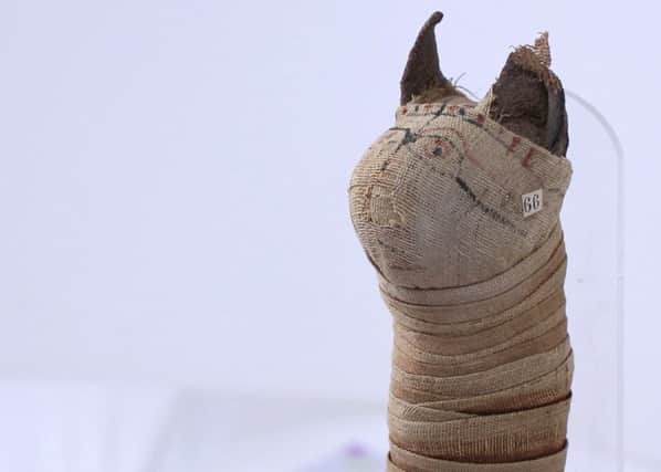 A cat mummy is one of the artefacts at Aberdeen University to be rebuilt using 3D technology normally used by medical students. PIC: Aberdeen University