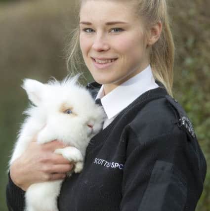 Scottish SPCA has issued the warning ahead of Easter. Picture: Peter Devlin.