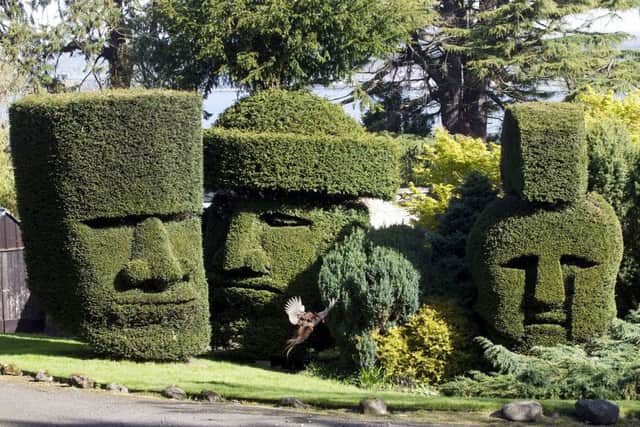 Three topiary heads measuring almost 20ft. Picture: SWNS