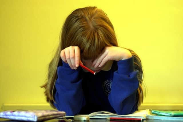 Are primary children asked to do too much homework? Picture; Esme Allen/TSPL