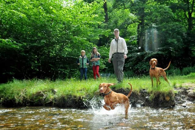 Dog walkers at Hermitage of Braid. Picture: TSPL