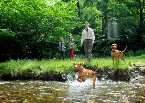 Dog walkers at Hermitage of Braid. Picture: TSPL