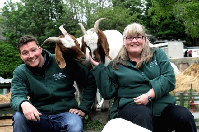 One year on after almost closing down 

Eddie Wilkinson (Business Development Manager) and Helen Syme (Corporate Fundraising Officer) feeds the Boer Goats and 7 week old large black piglets. Picture; Lisa Ferguson