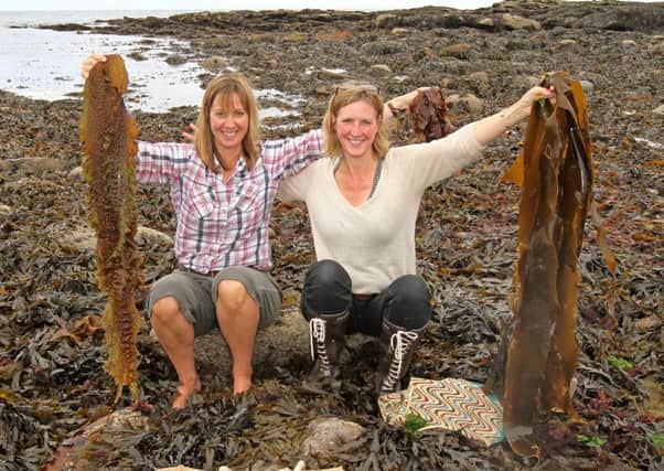 Fiona Houston and Xa Milne, co-founders of Mara Seaweed