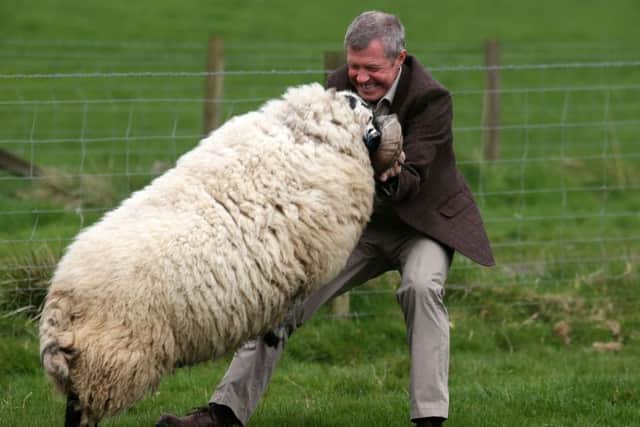 Scottish Liberal Democrat leader Willie Rennie MSP visits an alpaca farm on the outskirts of Edinburgh. Picture; Robert Perry
