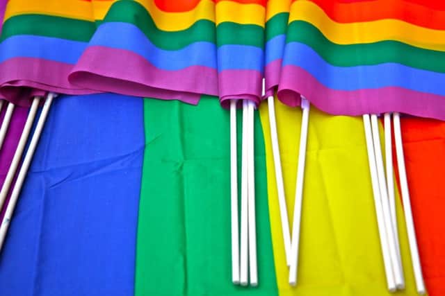 Pride flag. Picture: TSPL