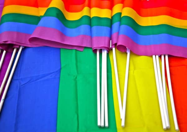 Pride flag. Picture: TSPL