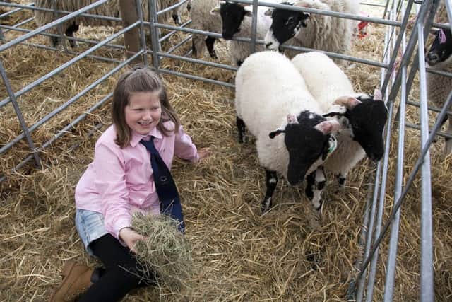 Royal Highland show - Lucy Watson 9 from Cumbria with swaledale sheep