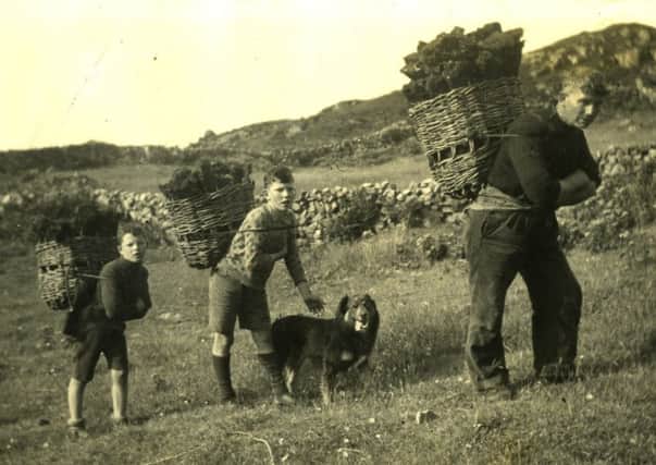 Father and sons take the fuel home in peat creel baskets. PIC: Courtesy of Gairloch Museum.