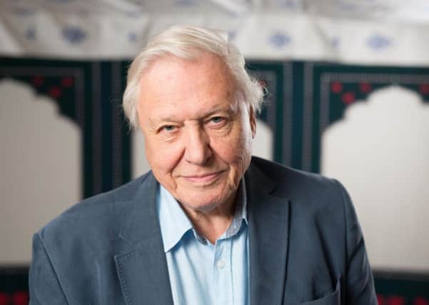 Sir David Attenborough is coming to this year's Edinburgh Fringe. Picture: David Parry/PA Wire