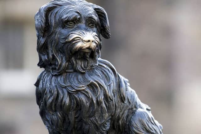Greyfriars Bobby's nose is getting very shiny from all the rubbing. Picture: Ian Rutherford
