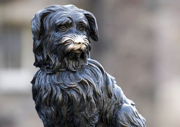 Greyfriars Bobby's nose is getting very shiny from all the rubbing. Picture: Ian Rutherford