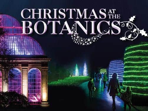 Christmas at the Botanics will bring amagical, after dark experience to the Royal Botanic Garden Edinburgh, fromNovember 24 to December 30.