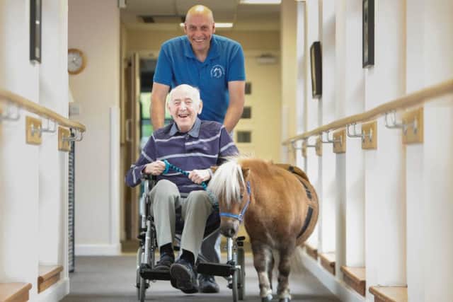 Therapony' proves big hit with care home residents