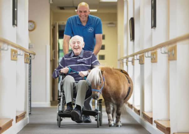 Therapony' proves big hit with care home residents