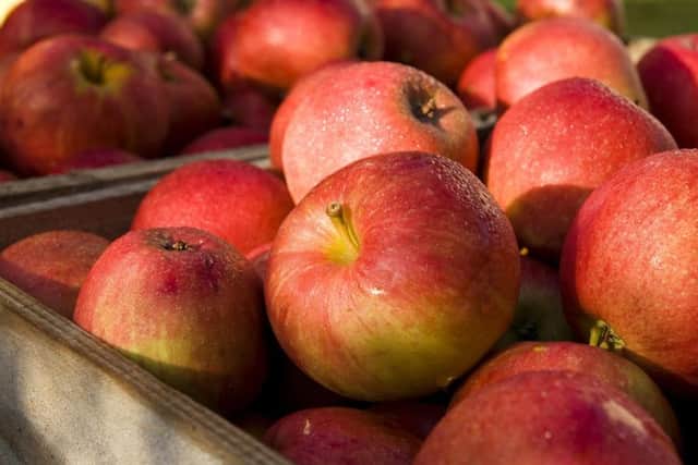 Thistly Cross Cider will swap drinks for apples