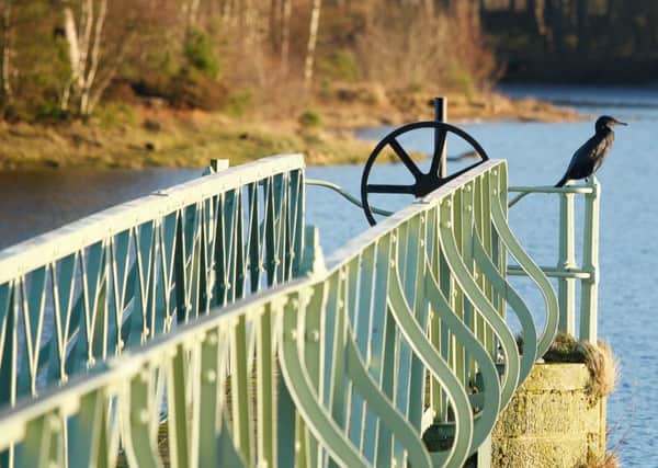 Harlaw Reservoir is well worth a visit. Picture: Scott Louden