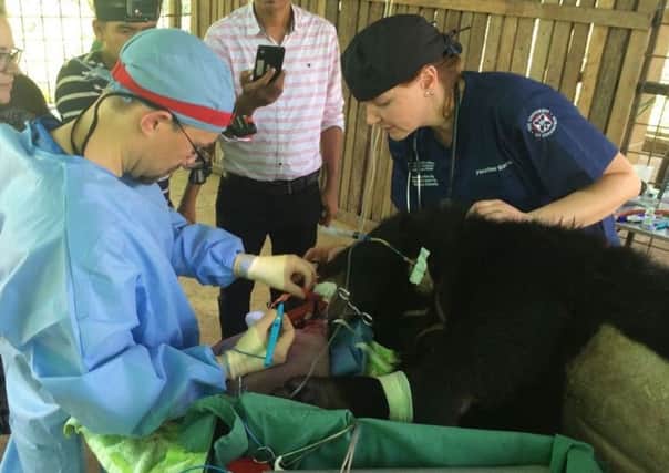 An Edinburgh vet helped operate on the animal.