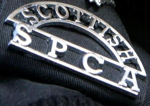 The SSCPA are appealing for information. PLEASE NOTE: This article contains a graphic image that some may find upsetting.