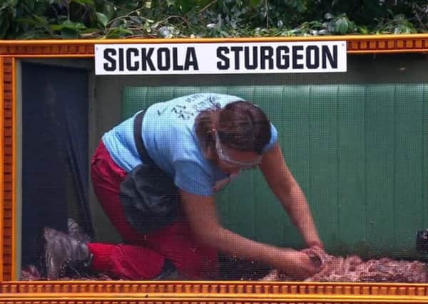 Kezia Dugdale MSP takes part in a Bush Tucker Trial on 'I'm A Celebrity ... Get Me Out Of Here!' Picture: ITV