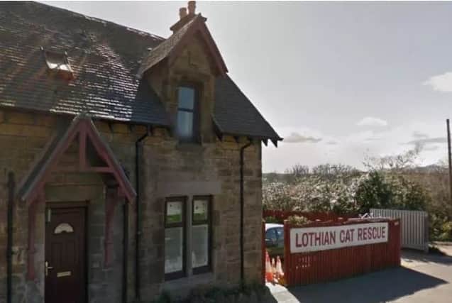 Lothian Cat Rescue
