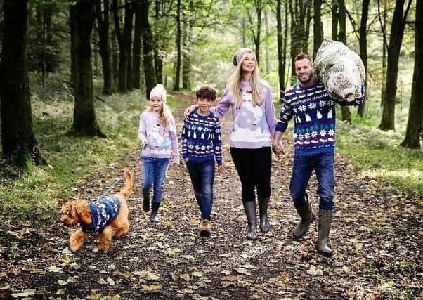 Aldi have launched a Christmas jumper range for pets