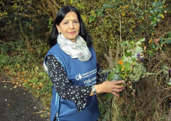 Nila Joshi is a Volunteer Community Champion for Forestry Commission Scotland