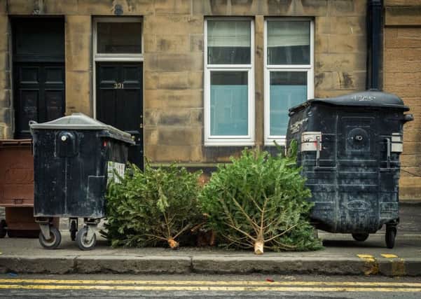 Christmas trees lie discarded in a street in Leith (Picture: Steven Scott Taylor)