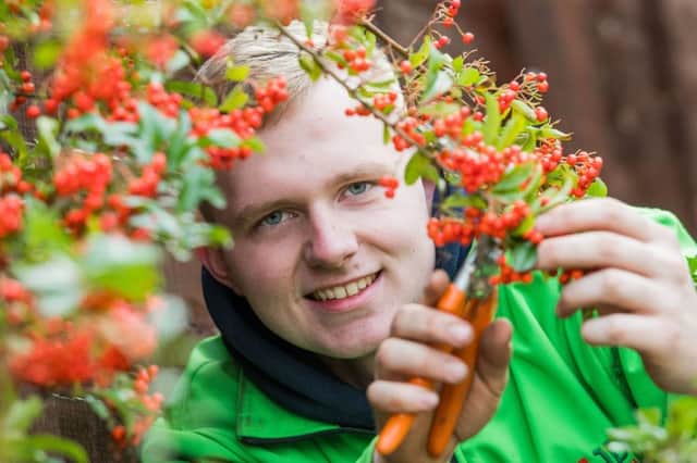 Josh Dow is a British Champion gardener and has just found out that he is to travel to Russia next year to compete in the World Championships.