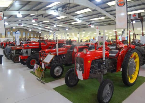 Red Massey Ferguson tractors from different eras line up for inspection
