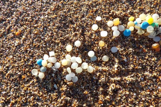 Plastics washed up on shore near the Scottish Seabird Centre. Picture: Andrew Grieveson.