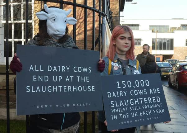 Vegan campaigners outside Cheesefest. Picture: Jon Savage.