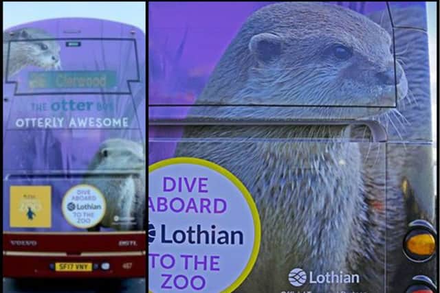Last year's 'Otterly Awesome' design has proved a big hit. Picture: RZSS Edinburgh Zoo/Lothian Buses