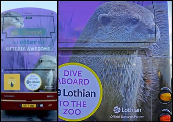 Last year's 'Otterly Awesome' design has proved a big hit. Picture: RZSS Edinburgh Zoo/Lothian Buses