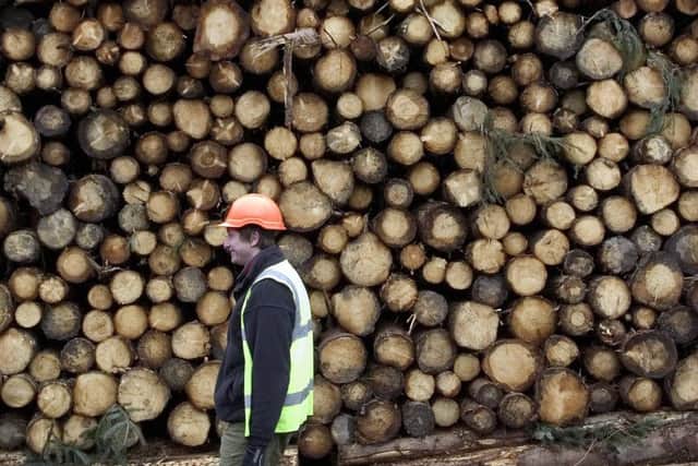 Forestry in the Borders  Pic: Neil Hanna