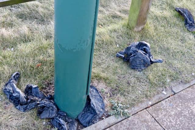 Dog dirt bagged but not binned - even though that would be easy