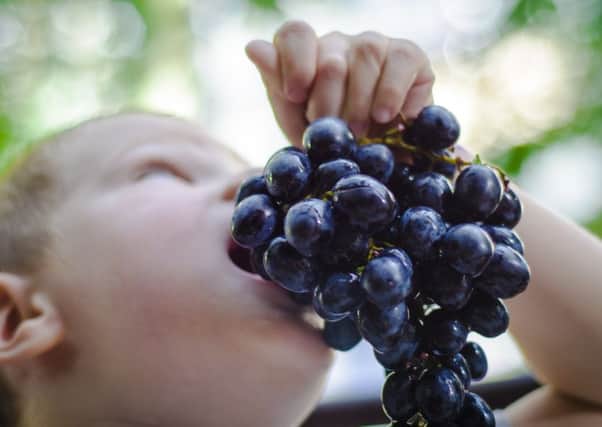 Eating grapes between meals is bad for your teeth, dentists say