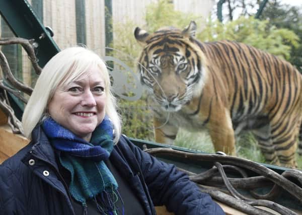 Barbara Smith says the Giant Lanterns event shone a new light on the zoo. Picture: Greg Macvean
