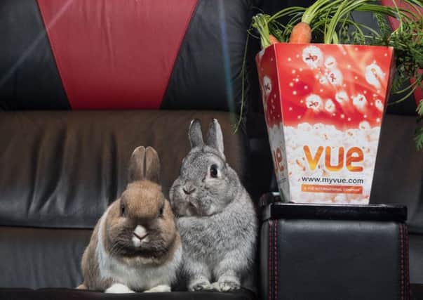 Peter Rabbit comes to Vue for Easter