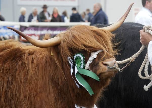 The Royal Highland Show welcomed more than 190,000 visitors last year. Picture: Alistair Linford