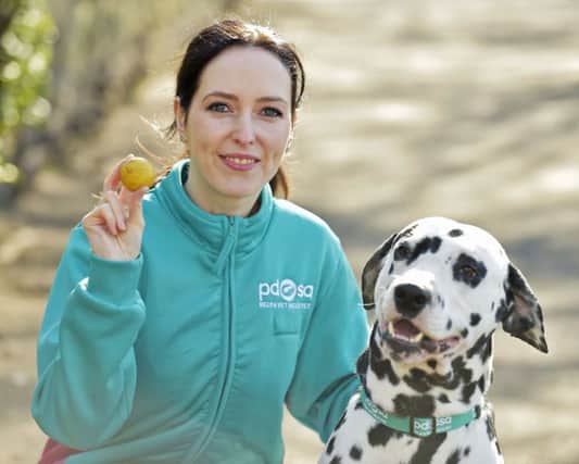 PDSA of vet Gemma Hepner with Pongo the Dalmatian, who needed a life-saving operation after swallowing a golf ball on a walk close to an Edinburgh course