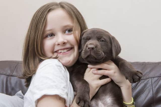 Nine-year-old Hannah Borthwick with her assistance dog Bailie, a chocolate brown Labrador puppy.
