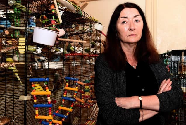 Pet ower Anne Ferguson was left 'distraught' after someone broke into her flat on Montgomery Street on Friday afternoon and stole some of her flock of 34 budgies. Picture: Lisa Ferguson