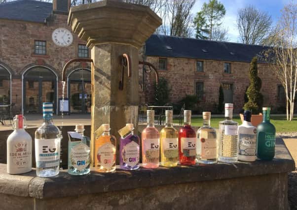 May is Gin Month at Restoration Yard, Dalkeith Country Park.