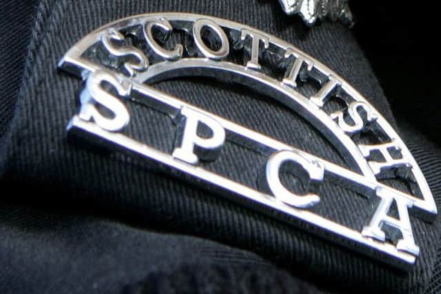 The Scottish SPCA have issued a warning