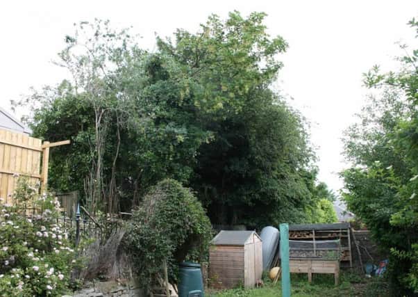 A MAN who said his neighbour's hedge ruined the garden of his Â£450,000 home has won a battle to have them chopped down.